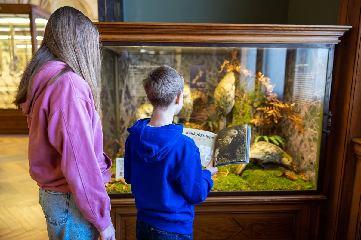 'NHM Erforschen' - unser erster Kinderführer für das NHM Wien ist jetzt erhältlich! Gemeinsam mit Kindern sind 20 spannende Objekte erarbeitet worden. Wissenswertes sowie Anregungen zum Weiterforschen, für Junge und Junggebliebene. 👉 tinyurl.com/3nyrfuwm #nhmwien #kinder