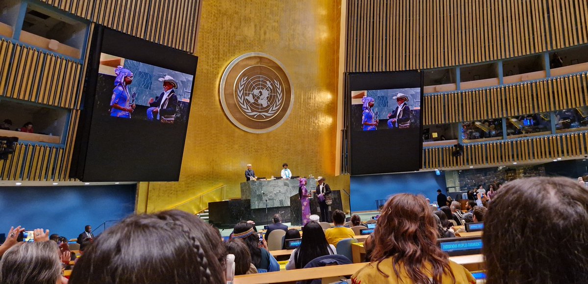 New Chair of the #UNPFII @UN4Indigenous @hindououmar Congratulations!