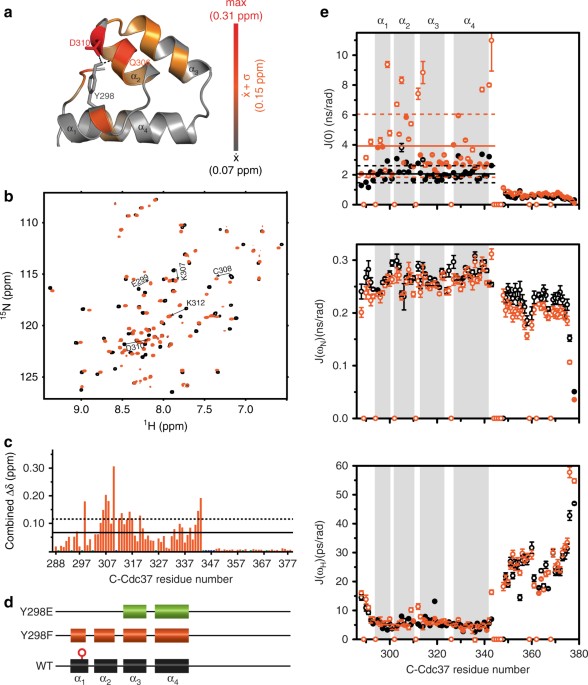 Phosphorylation induced cochaperone unfolding promotes kinase recruitment and client class-specific Hsp90 phosphorylation go.nature.com/2IUZm2a