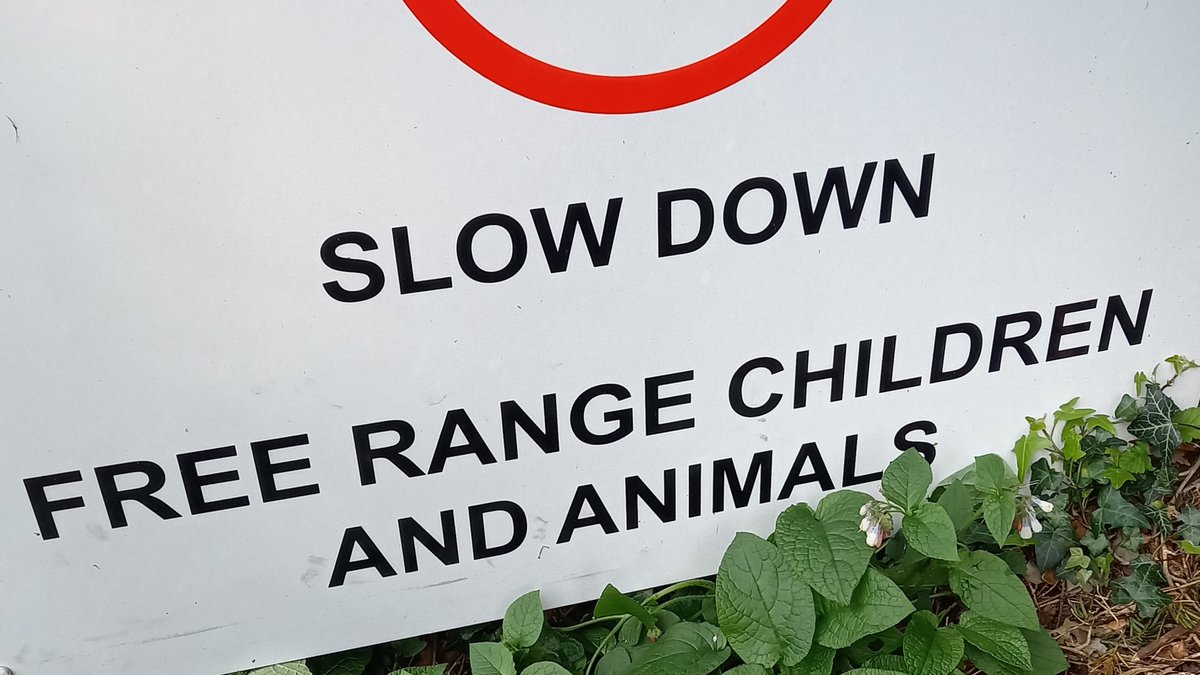 pauldalrymple's tweet image. Plea to free RANGE CHILDREN and ANIMALS from captivity?

RANGE CHILDREN &amp;amp; ANIMALS being given away?

Or does it mean CHILDREN and ANIMALS roaming here are not battery farmed but Free Range?

Only certainty is the command to SLOW DOWN.

#askaneditor @LinBodhran