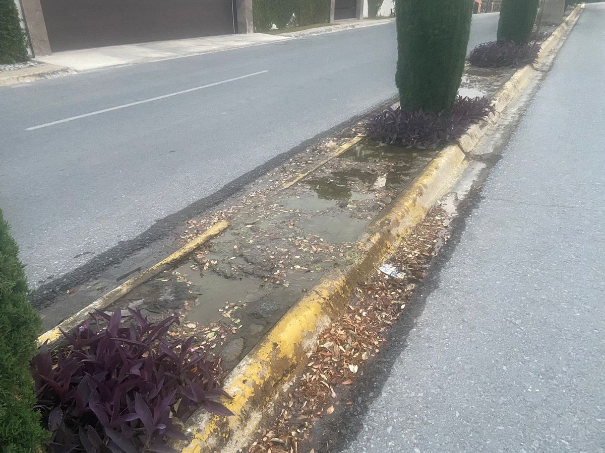 fefg1's tweet photo. @AtencionSPGG @miguelbtrevino Buen día. Para reportar una fuga de agua potable y una reparación abandonada de AyD. En Roberto G Sada entre av Pedregal Del Valle y Onix. https://t.co/qiIVp1TGP9