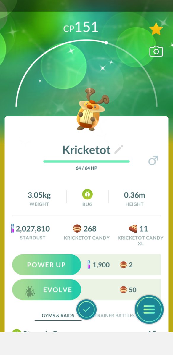 Stubbed my toe and then got a shiny Kricketot! Balanced out, I guess?