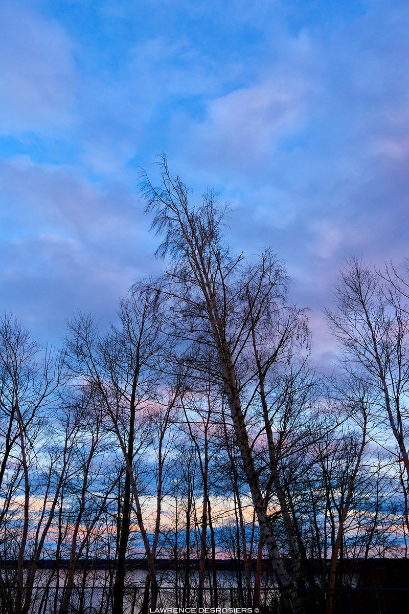 Il faut parfois sauter la clôture… #Photographie