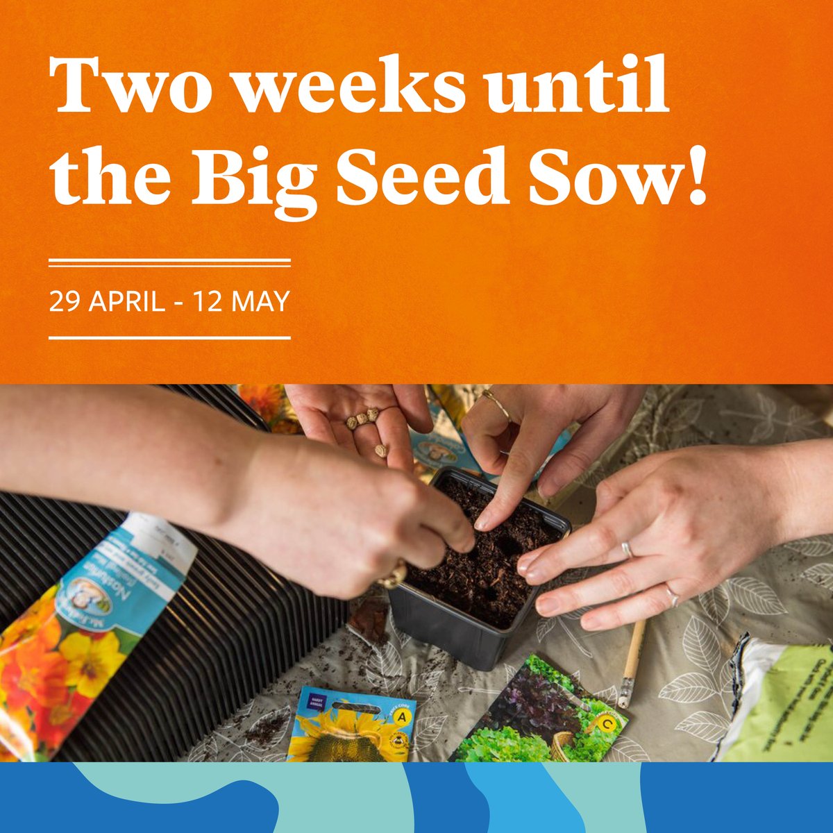 There’s only 2 weeks to go until the #RHSBigSeedSow ⌛🌱 We can’t wait to see how you and your group take part in the Big Seed Sow, 29 April - 12 May! rhs.org.uk/get-involved/g…