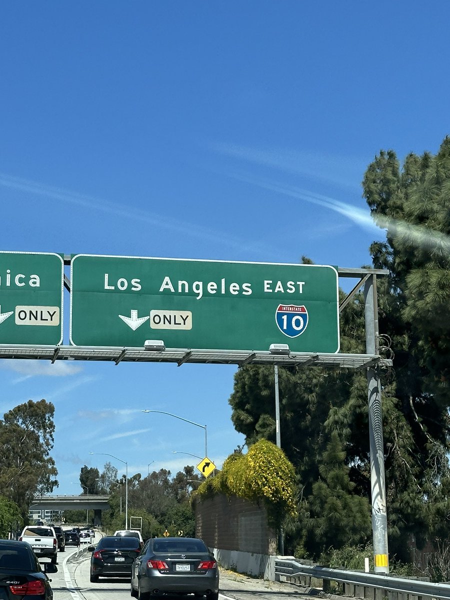 KN_Dogma tweet media