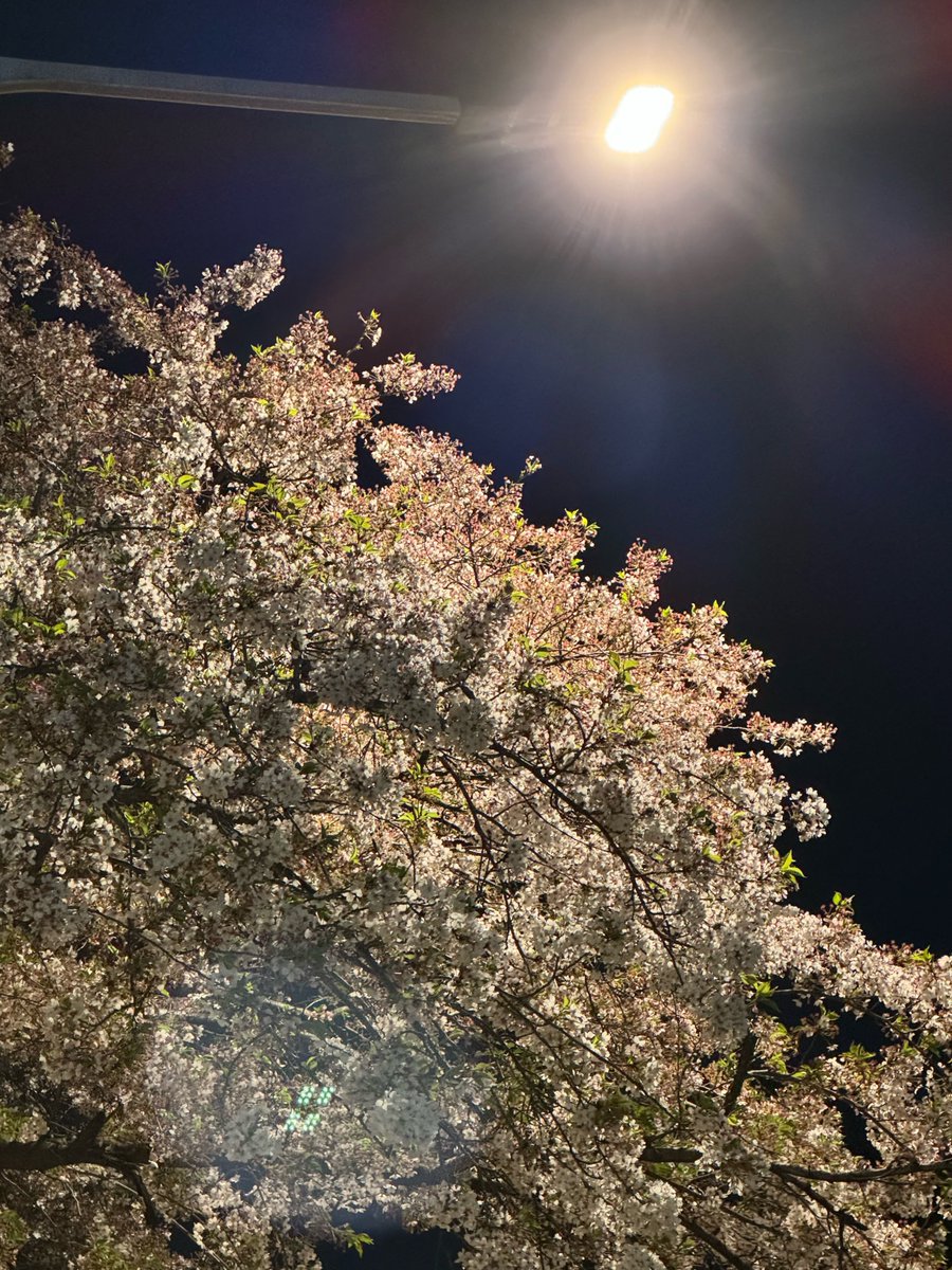 ICHILLIN Brasil tweet media