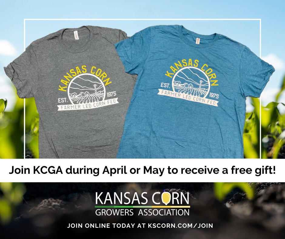 We have a membership deal hotter than this weather! Join KCGA now and receive a free Kansas Corn T-Shirt. PLUS when you join for 3 years you can recieve a voucher for a free bag of corn seed from participating brands. Learn more at kscorn.com/join #kscorn #kcga #jointoday