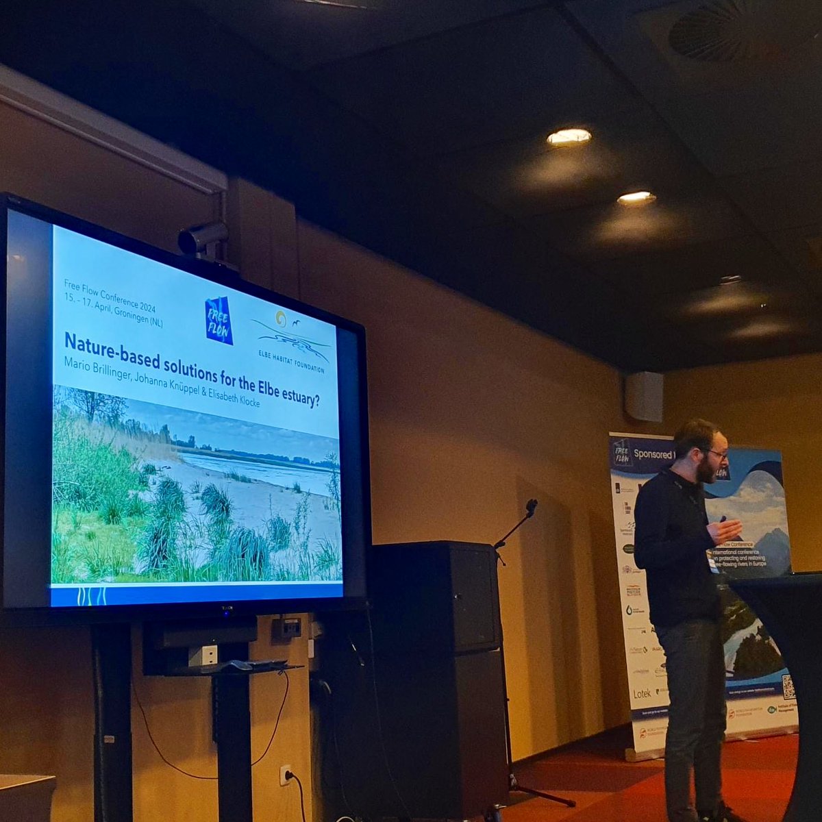 MarioBrillinger's tweet photo. ❗️Removing dams is the key to free-flowing rivers for migratory species, but free-flowing rivers also include the connectivity to floodplains

I enjoyed to introduce the Elbe Habitat Foundation and share our insights on #naturebasedsolutions for the Elbe estuary 

(2/2) https://t.co/xDPxBwnWYE