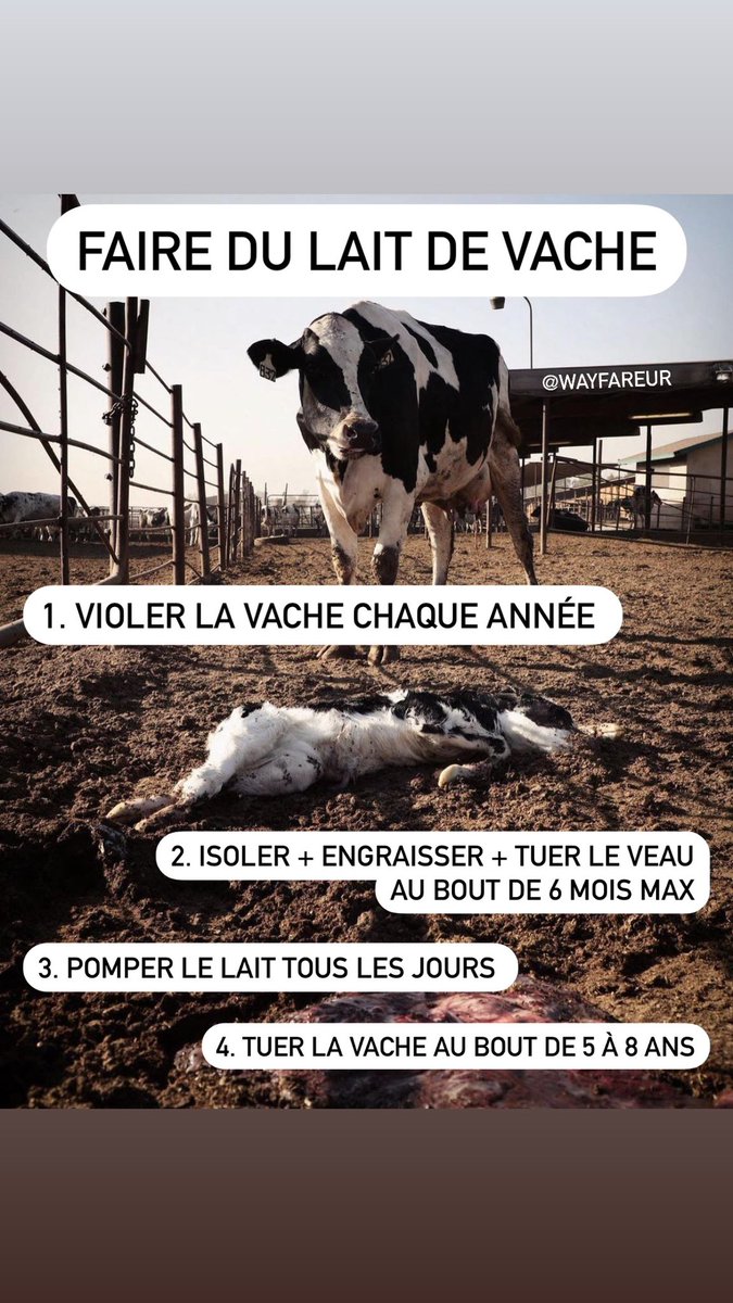 Nicolas Ⓥ tweet media