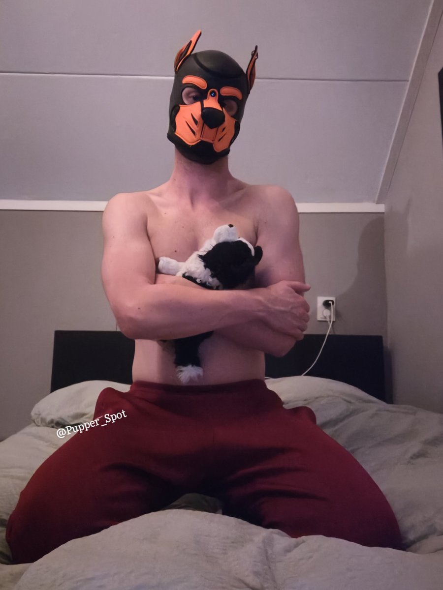 PupSpot tweet media