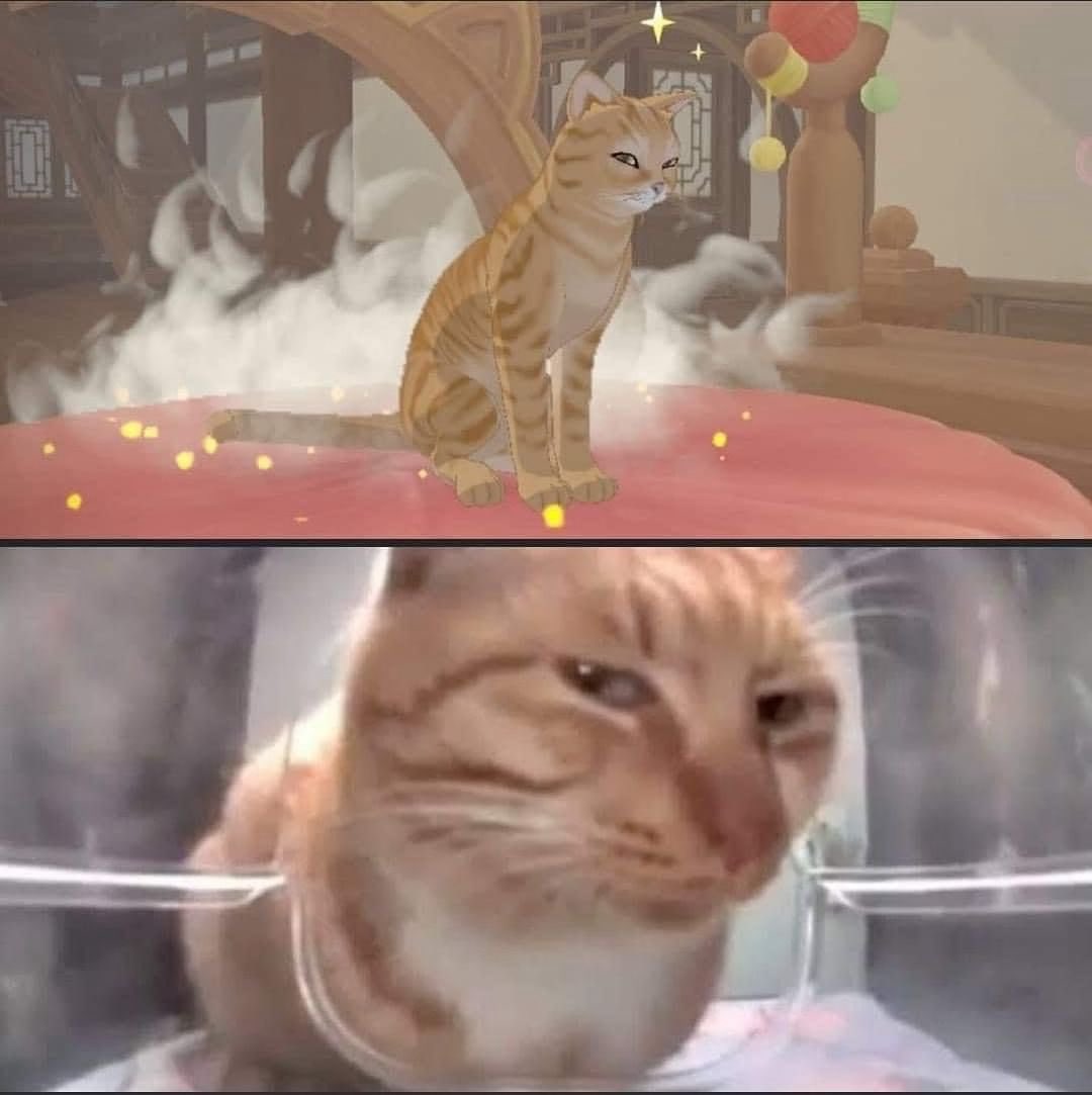 Gacha_Zone's tweet image. 