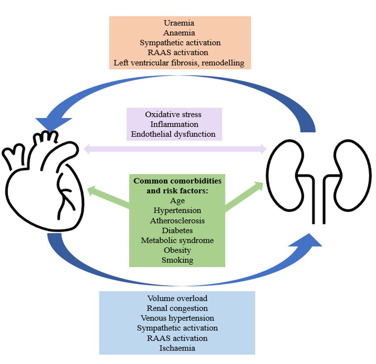 🔴 A 2024 Updated Review of the Management of Chronic Heart Failure in Patients with CKD #openAccess imrpress.com/journal/RCM/25… #CardioEd #Cardiology #FOAMed #meded #MedEd #Cardiology #CardioTwitter #cardiotwitter #cardiotwiteros #CardioEd #MedTwitter #MedX #cardiovascular