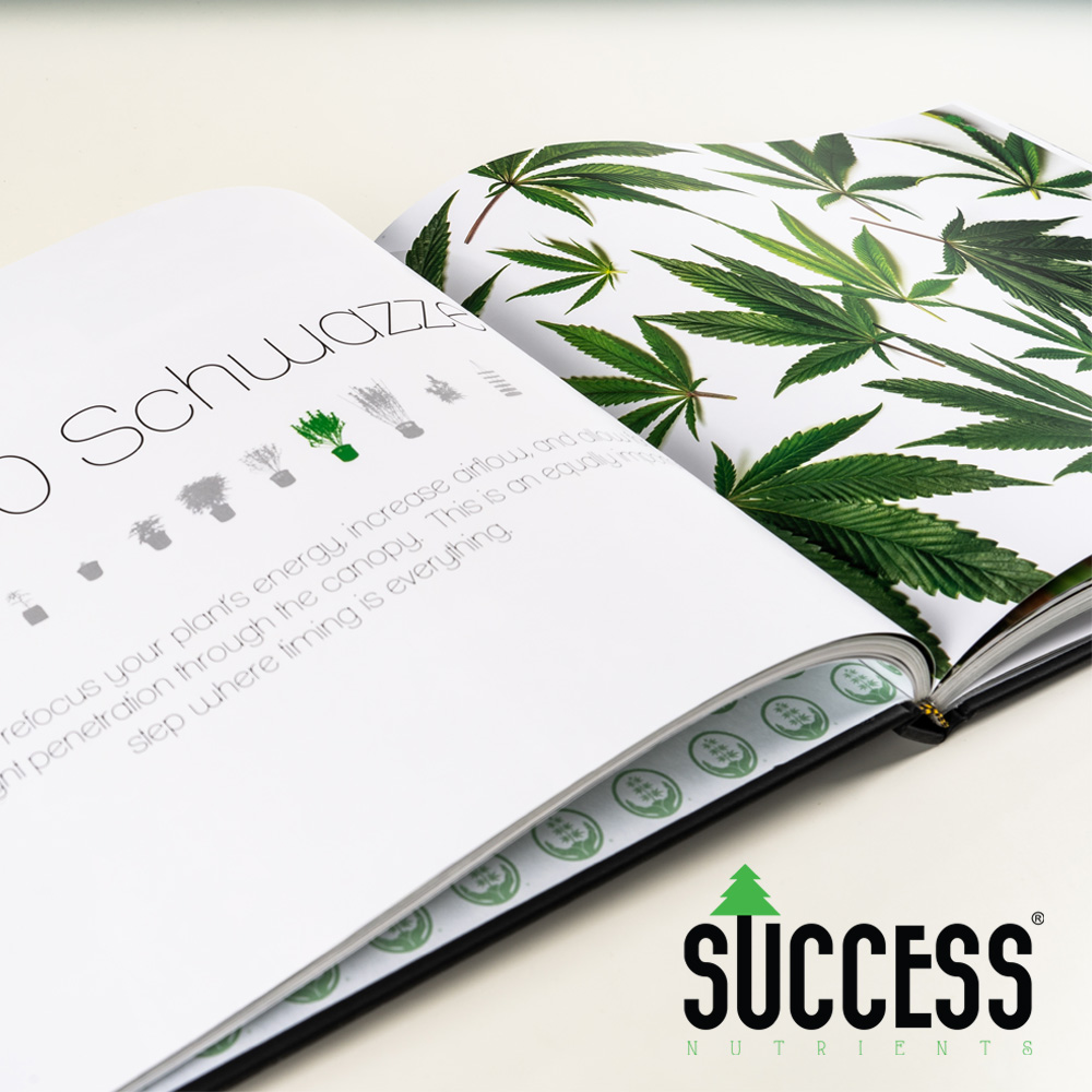 Success Nutrients tweet media
