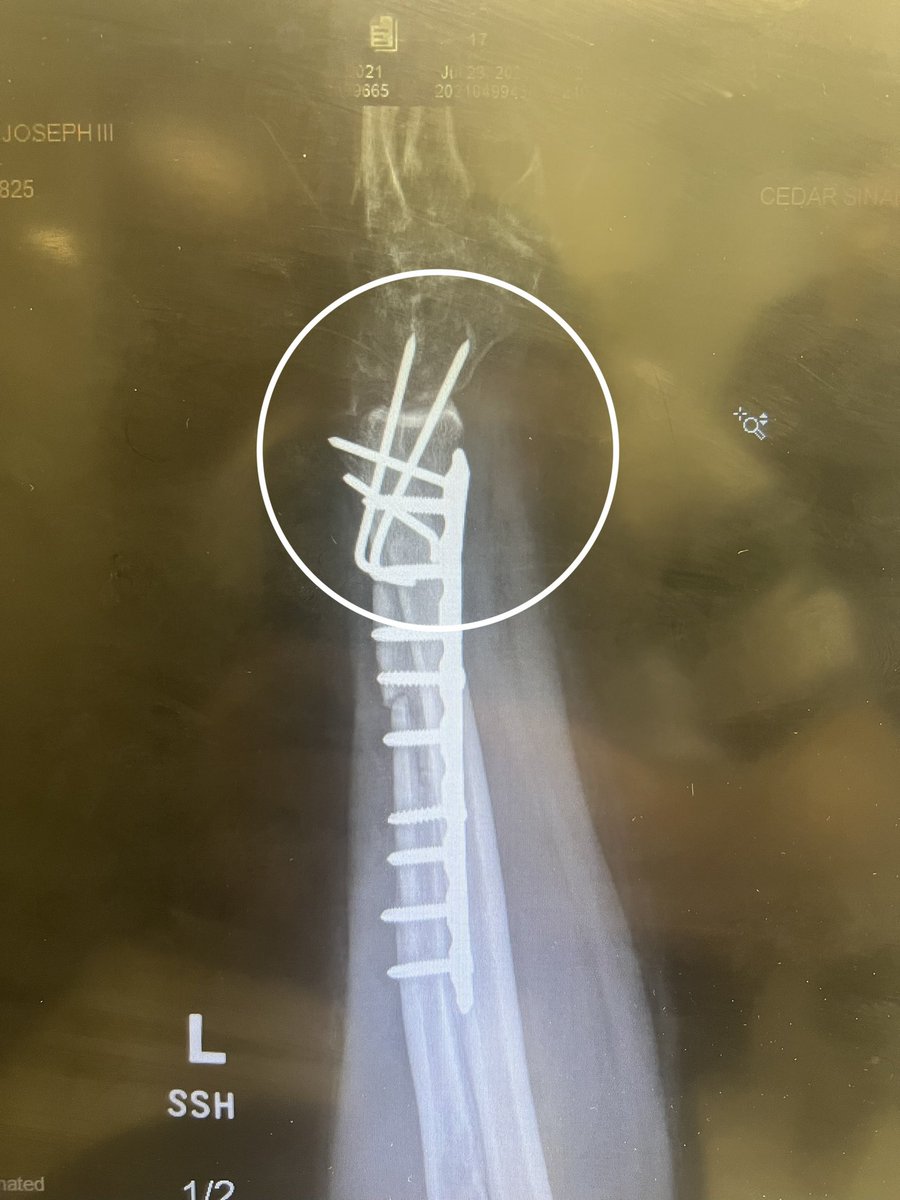 UNCLE 🏴‍☠️ EDDIE 🫵😹 tweet media