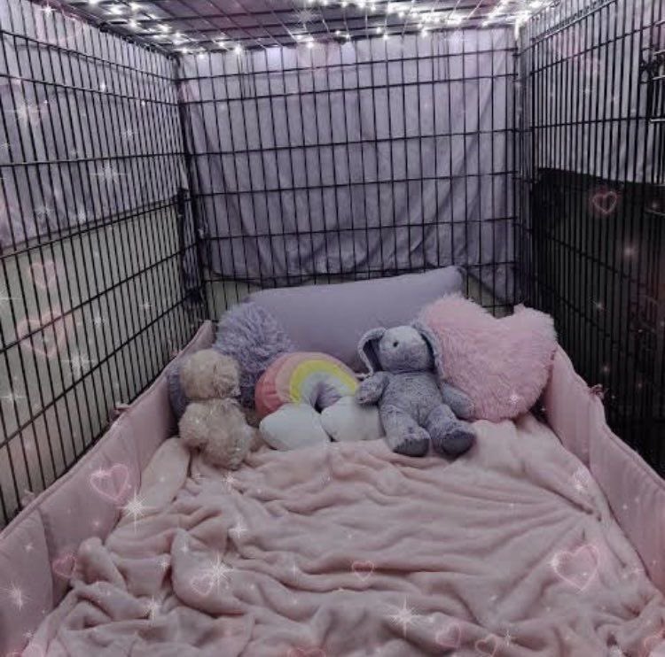 💜🐾💞 DOGTOY 💞🦴🐰