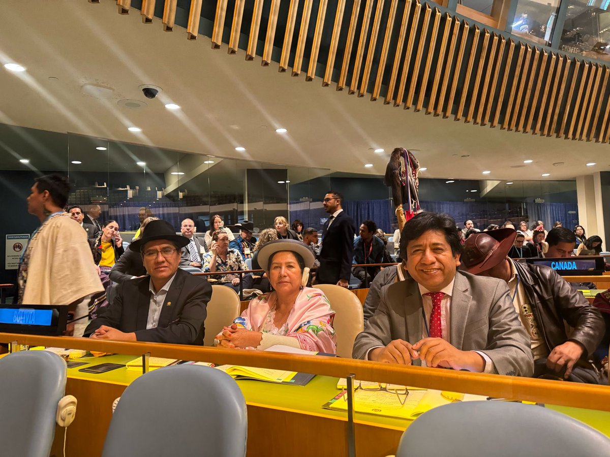Congratulations to the new Chair of the United Nations Permanent Forum on Indigenous Issues @hindououmar !! @BoliviaUNNY @MRE_Bolivia @filac_ #UNPFII2024 @VPEP_Bol #WeAreIndigenous @UN4Indigenous @DMejia20