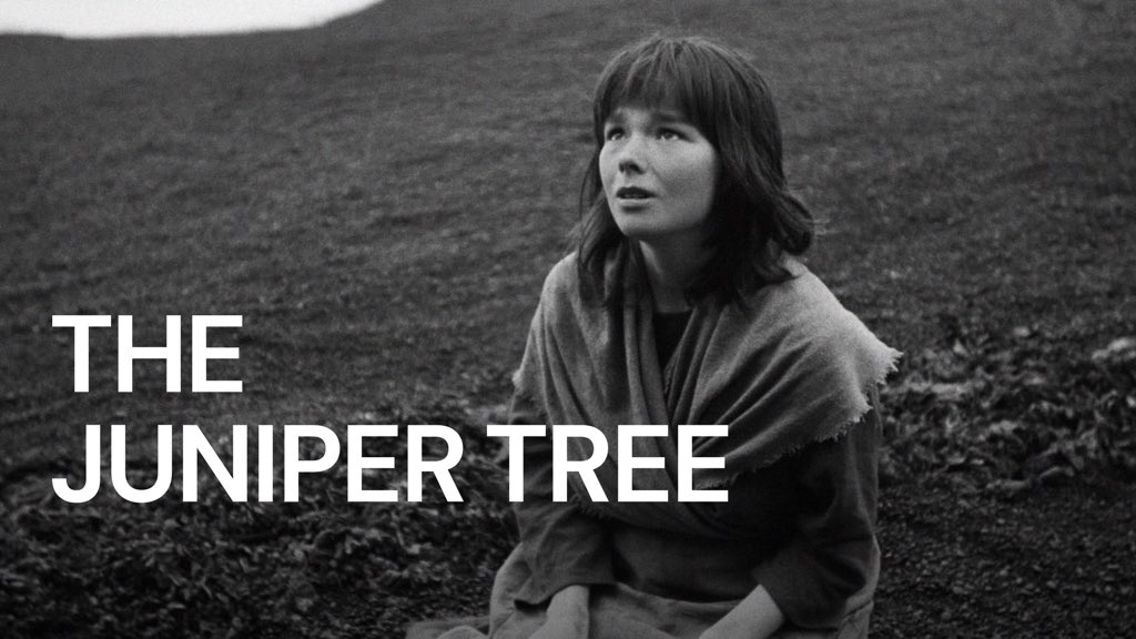 CMoviemaker's tweet photo. #NowWatching #Björk in #TheJuniperTree https://t.co/9Hu4ndbhJl