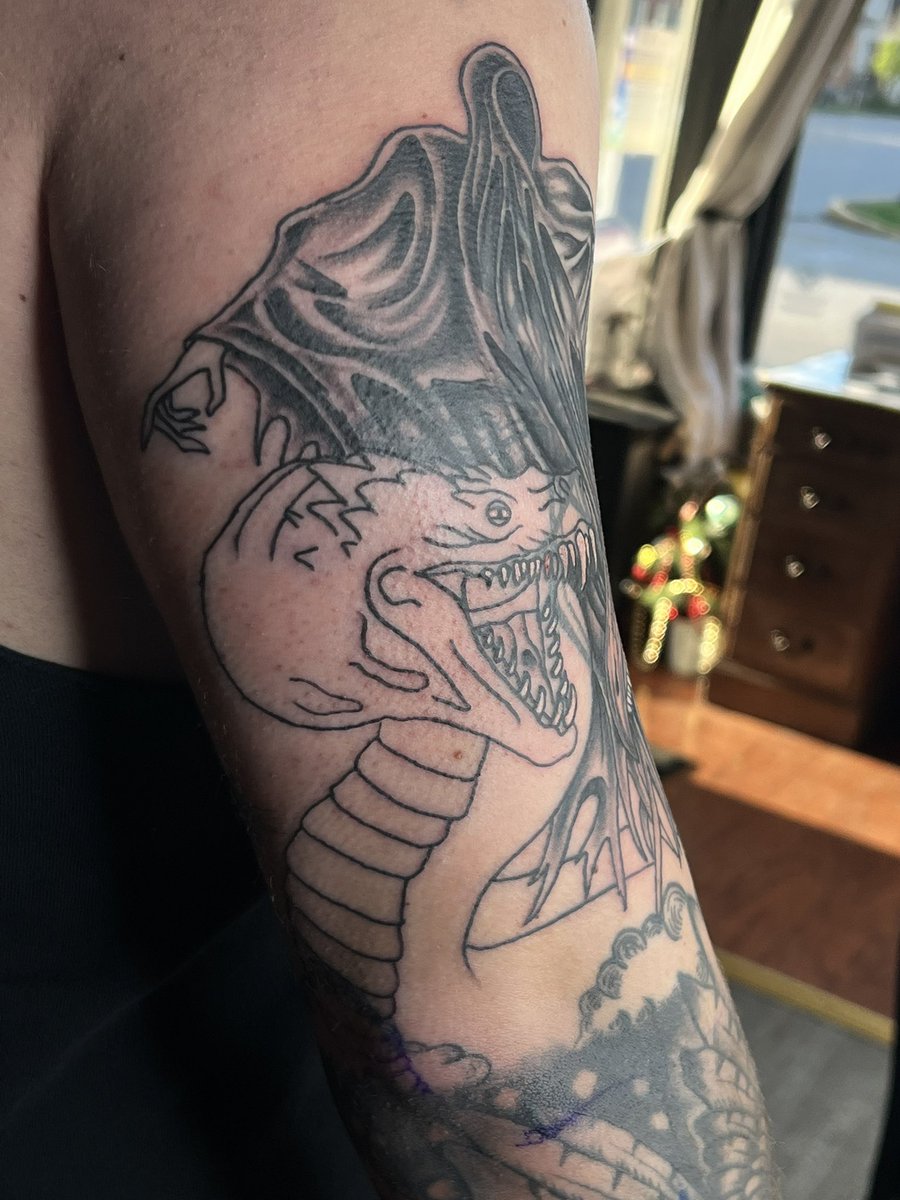 HallowsSirius's tweet photo. New (unfinished) addition to the sleeve! #tattoo #HarryPotter https://t.co/GGaVEKuUqE