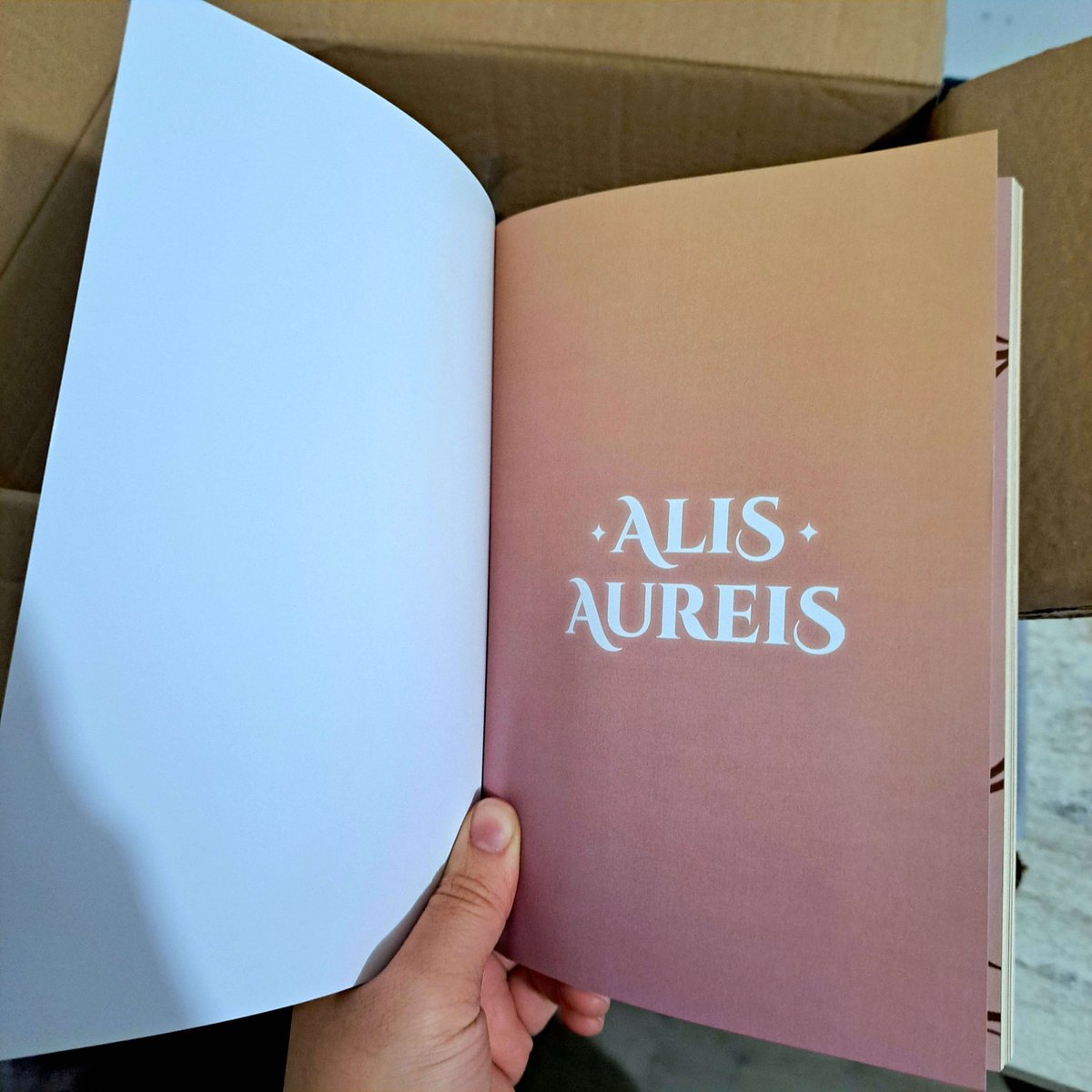 IT'S HERE!! 🤩 We've received the ALIS AUREIS books! They're just as gorgeous on the inside as they are on the outside, but that's for you to discover ✨ Stay tuned to discover the bookmarks tomorrow, and then... get ready to meet them all 👀