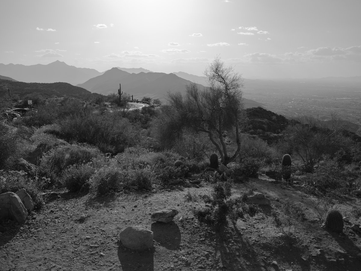 versatilityrnj's tweet image. A Morning In The Mountains