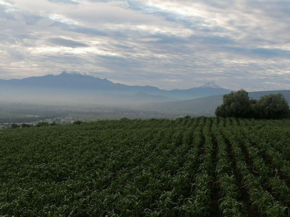 📷Te compartimos esta imagen desde un sembradío en las faldas del cerro de Teuhtli en la zona de Santiago Tulyehualco. #FelizMartes
