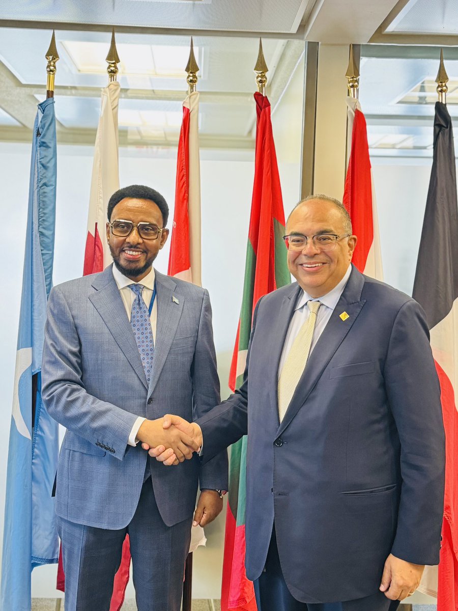 It was a pleasure to meet with Dr. Mahmoud Mohiedin, the Executive Director representing #Somalia at the IMF during the Spring Meetings in Washington DC today. We discussed our economic reforms, IMF assistance and accessing favourable and flexible financing post debt relief.