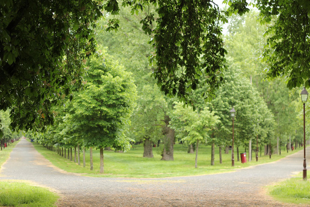 Patrimonio Nacional ya tiene licencia para comenzar las obras de remodelación de El Parral 🌳 Se instalarán 8 puertas para su cierre nocturno y se renovará el arbolado en mal estado. También se cambiará el mobiliario urbano y se creará una zona de juegos infantiles