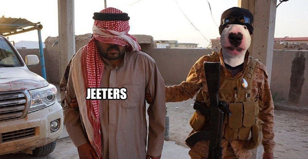 Nelsondogsol's tweet image. You trying to jeet $NELSON huh? 👀👃