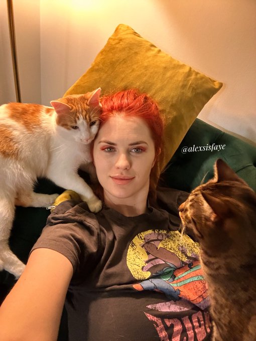 Just  me and my cats??? https://t.co/YCL6hlcTCg
