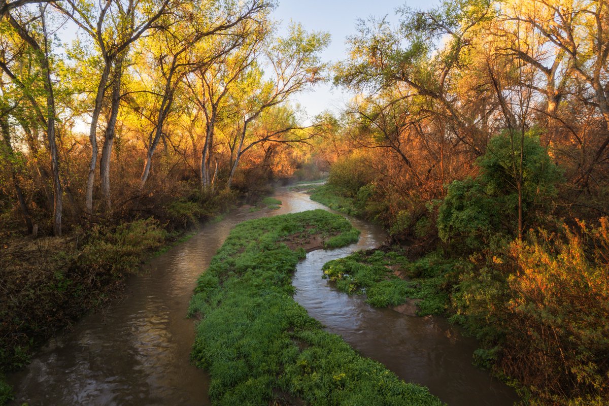 ACT NOW: The #SantaCruzRiver has been named one of the #MostEndangeredRivers by @americanrivers Learn more and SIGN Letter of Support americanrivers.org/SantaCruzRiver…