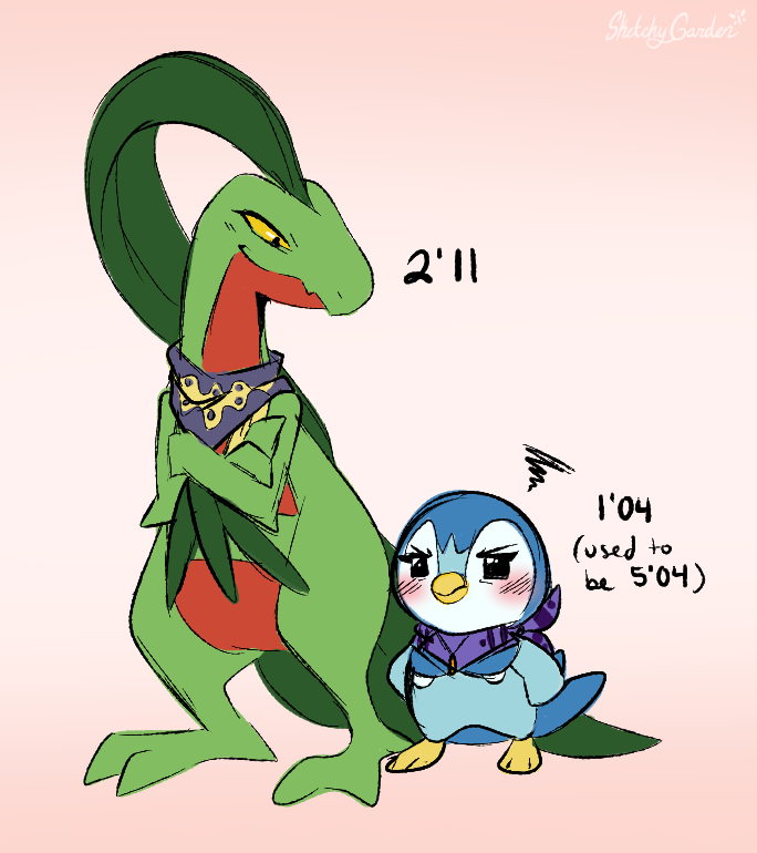 [PMD] Heights Grovyle finds he no longer looks up to his partner...physically, at least.