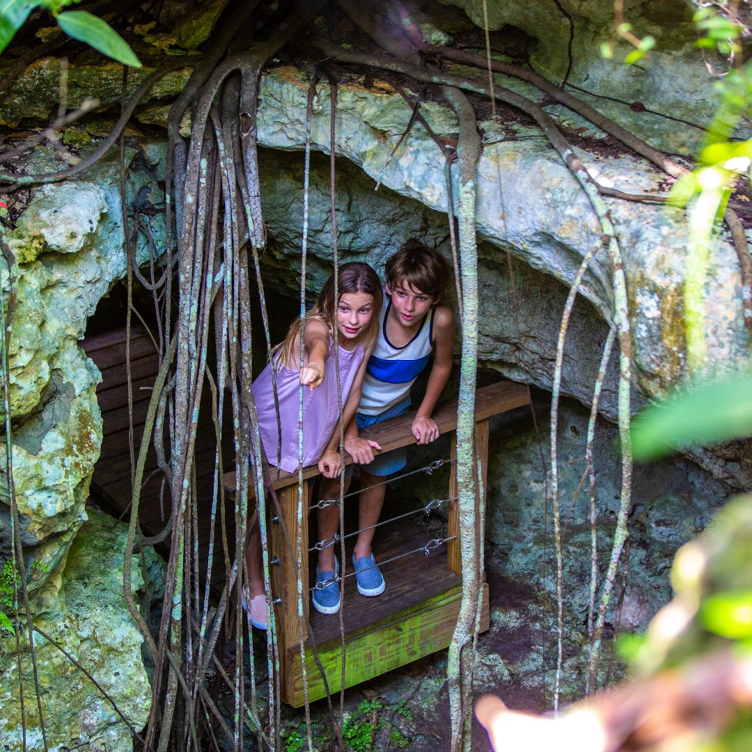 Celebrate #NationalParksDay on April 20th with @BNTBahamas with activities like kayaking, snorkelling, birdwatching and more at The Retreat Garden, Primeval Forest, and Bonefish Pond National Park!🌿 Let's protect The Bahamas together — learn more: bit.ly/49IqyfT