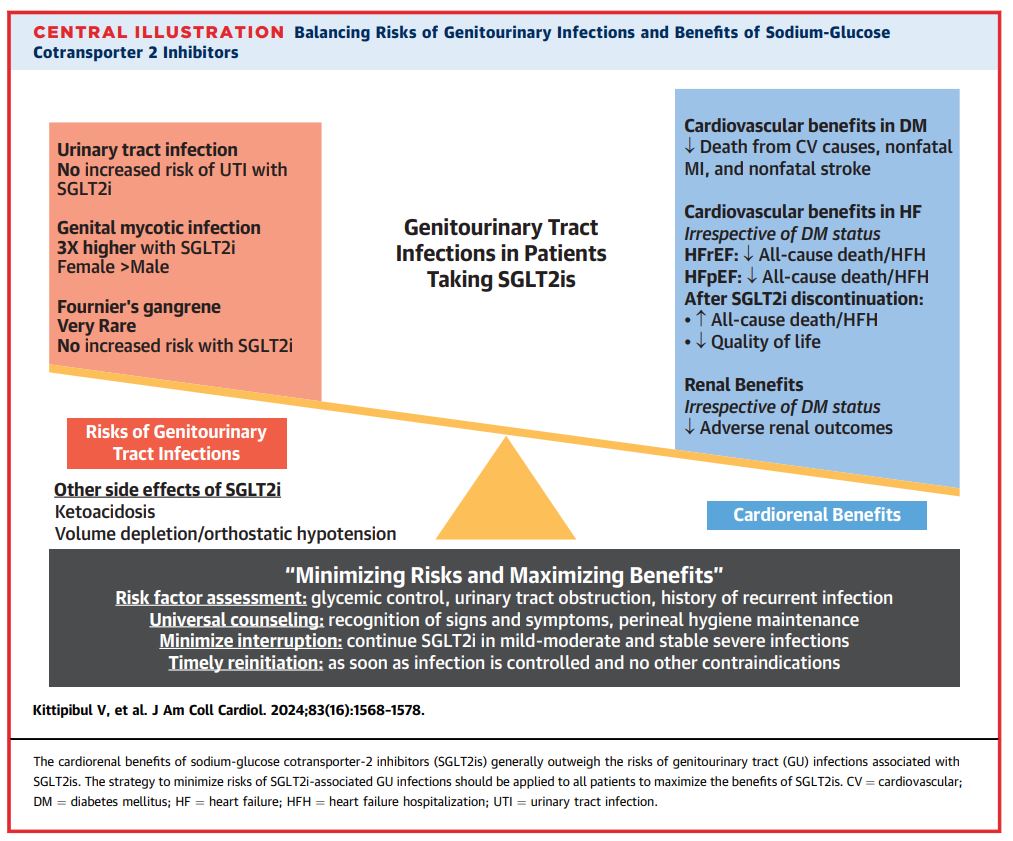 Check out our review on 'SGLT2i and GU infections' in @JACCJournals 🔗: shorturl.at/gsGL7 Here we discuss - SGLT2i mechanisms/benefits - Trial/real-world evidence of SGLT2i/GU ifx - Risk factors - Practice considerations 🧵 to follow (1/5)