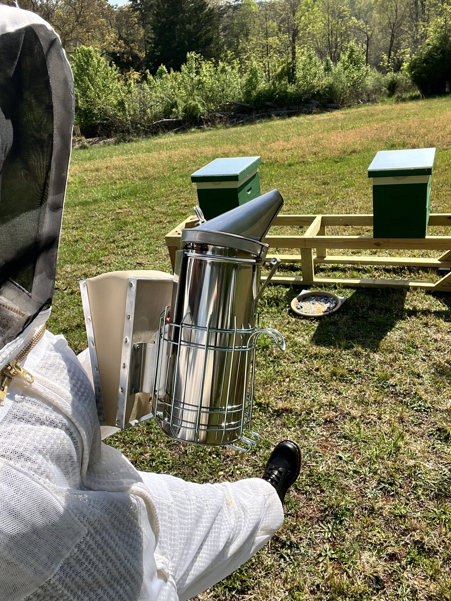 Look_its_Rhonda's tweet photo. Theyโre bearding and Iโm like an over-anxious momma over here, worried to death about them. #beekeeperproblems ๐ https://t.co/pw9RMuZUT8