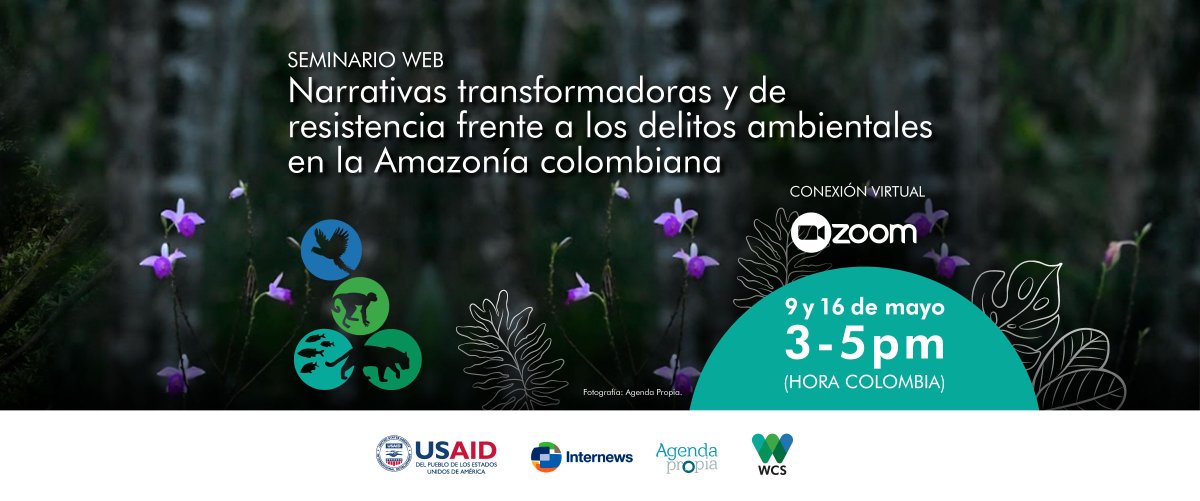 Atención periodistas de la región 🇨🇴🇵🇪🇪🇨 🍃 Inscripciones abiertas para el seminario web 'Narrativas transformadoras y de resistencia frente a los delitos ambientales en la Amazonía colombiana'. 🗓️ 9 y 16 de mayo. 🔗: bit.ly/SeminarioNarra… #ConservandoJuntos #AREP