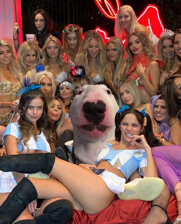 Nelson tweet media