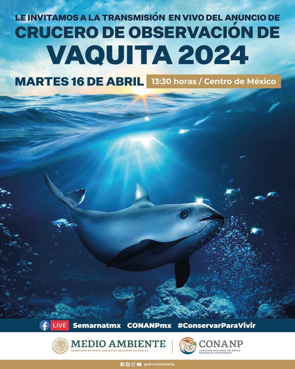 La expedición continúa. 🌅 Te invitamos a la transmisión del anuncio del Crucero de Observación de Vaquita 2024. 🌊🌿🚤🐋🔭🇲🇽 🗓️ Martes 16 de abril ⏰ 13:30 horas 💻 #FacebookLive de @SEMARNAT_mx y la #Conanp