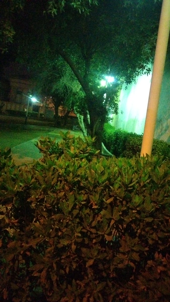 الحنين والشوق (@anaali22864642) on Twitter photo 
