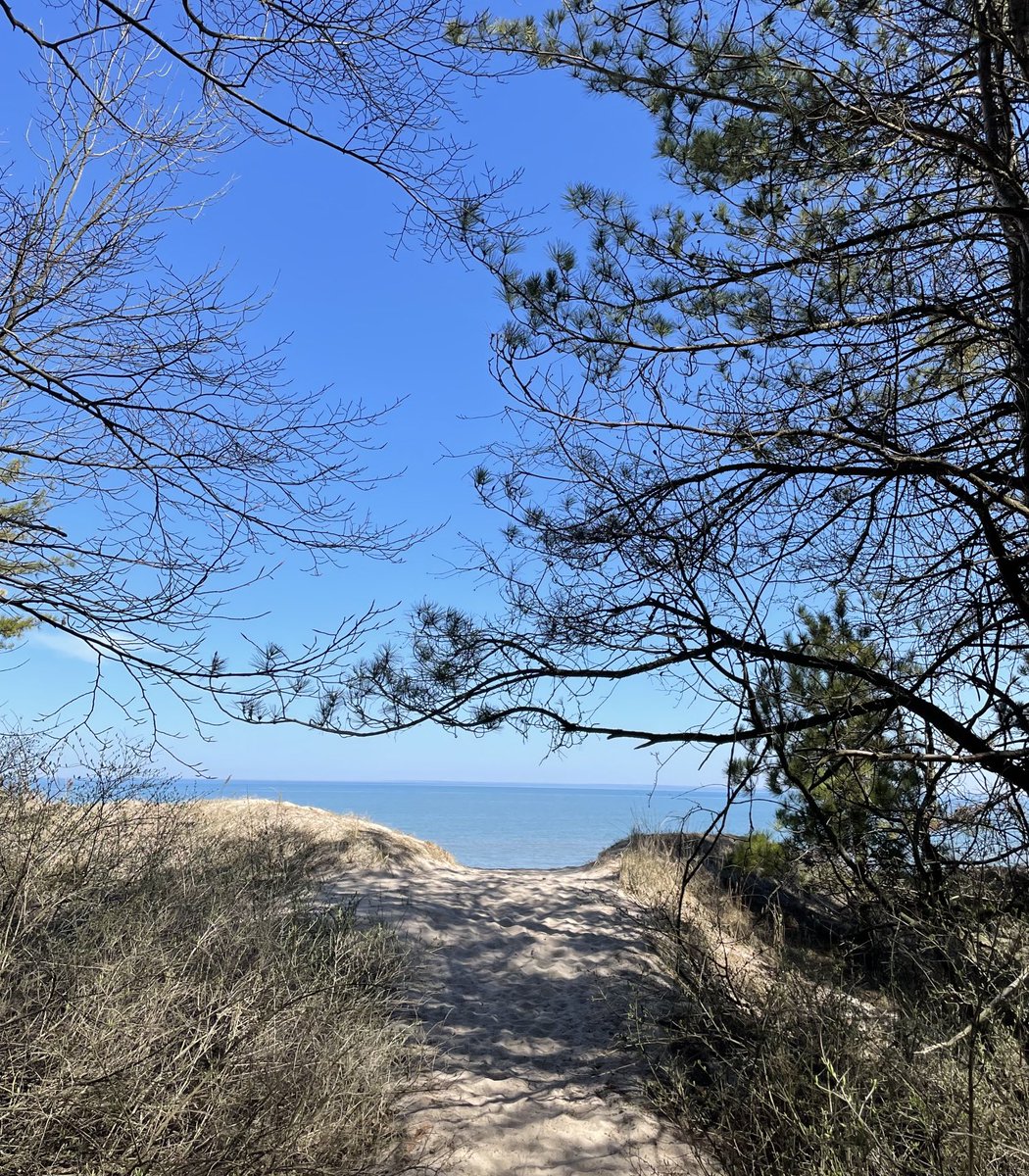 I never get tired of this view! #nature #trees #evergreens #water #blue #shoreline #lakemichigan #greatlakes #gratitude #solitude #beauty #mentalhealth #outdoors #hiking #sheboygan ⁦@StarboardRail⁩ ⁦@LakeMichigan13⁩ ⁦@LindseySlaterTV⁩ ⁦@Mark_Baden⁩ ⁦