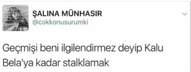 Venüs/güneş/ay/yükselen/merkür akrep
8.ev stelyumlu sorunsalı...