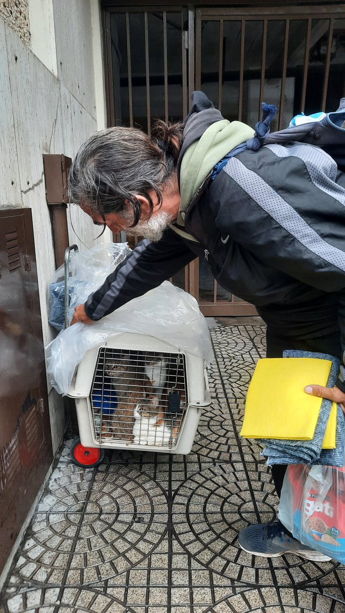 vale_magliano's tweet photo. el es Gaston y hoy tuve el placer de conocerlo a él y a sus 4 gatitos. Está buscando algún lugarcito que pueda alquilar para poder vivir. Por el momento está en el barrio de la Plaza Lopez. NO VENDE/REGALA A SUS GATOS. agradezco difusión @PreciosRosario2 @VivirenRosario https://t.co/d8CZeAV5zg