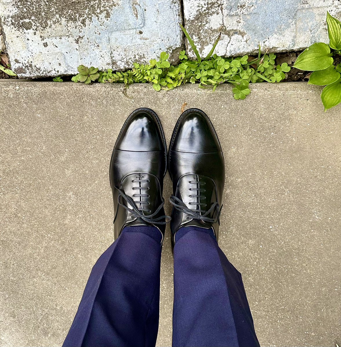 三陽山長

週末に買ったスーツをおろしました。
薄手でサラッとした生地、26℃まで上がる予報なので大丈夫そう。
春が一瞬で終わりそうな気配ですね。

#三陽山長 #紳士靴 #革靴 #今日の足元 #マッキントッシュロンドン #sanyoyamacho #shoes #mensshoes #sotd #shoesoftheday #mackintoshlondon