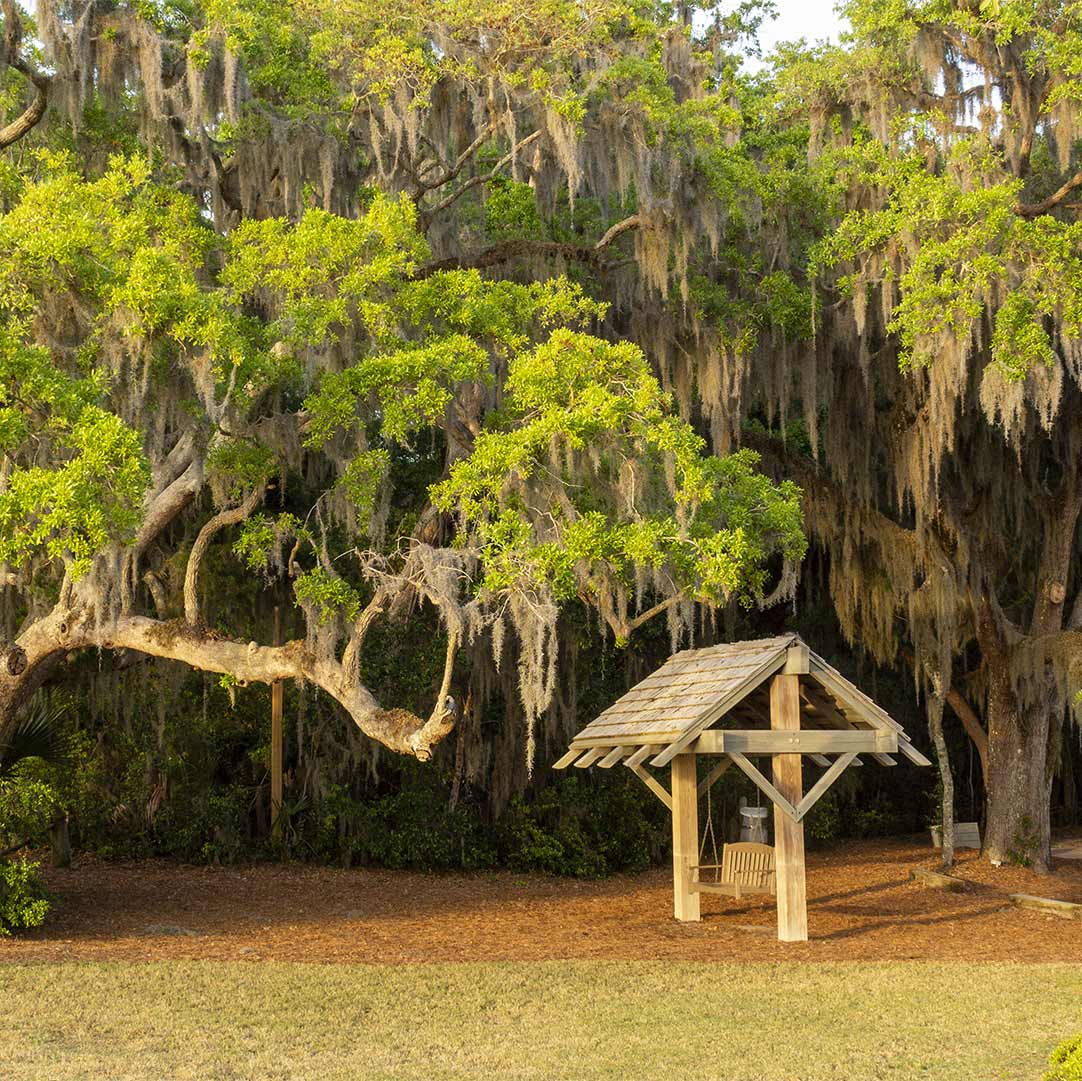 javajoba's tweet image. Walker&apos;s Landing at #sunset  Southern charm!
#Omnihotel #Ameliaisland #vakphotos
vakphotos.com/tag/photograph…