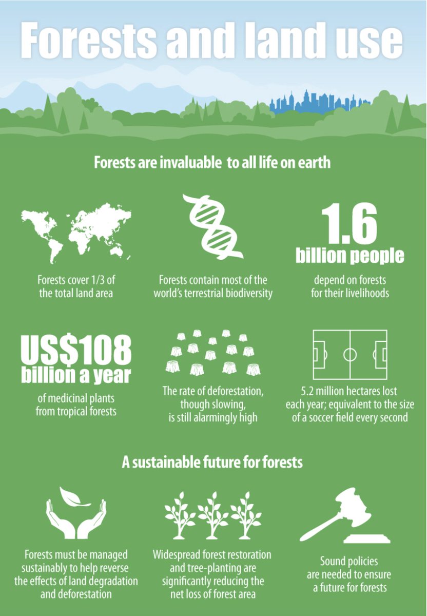 Our future depends on forests. 🌍🌱

Forests are vital for the well-being of people and our planet.

Earth's forests:
🌲 provide sustenance and livelihoods
🌴 host 3/4 of terrestrial #biodiversity
🌳 store carbon
🌱 and so much more!
Learn more #ForNature via @fao: