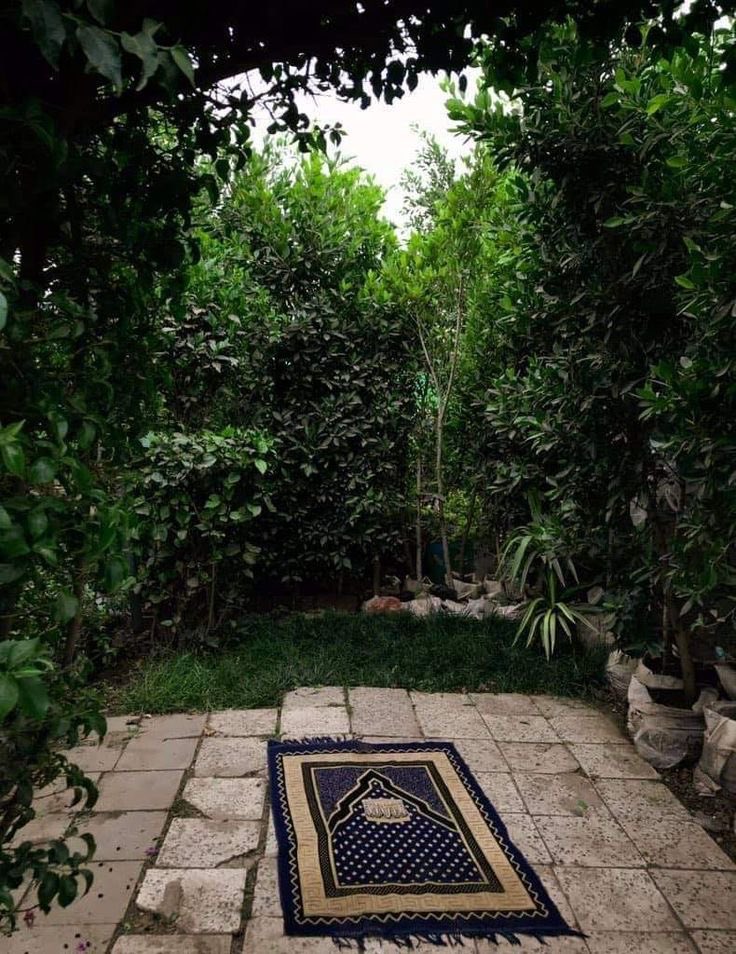 quranquotidien's tweet photo. [THREAD]
Erreurs à éviter dans la prière / salât : https://t.co/H8Rs2eyqL4
