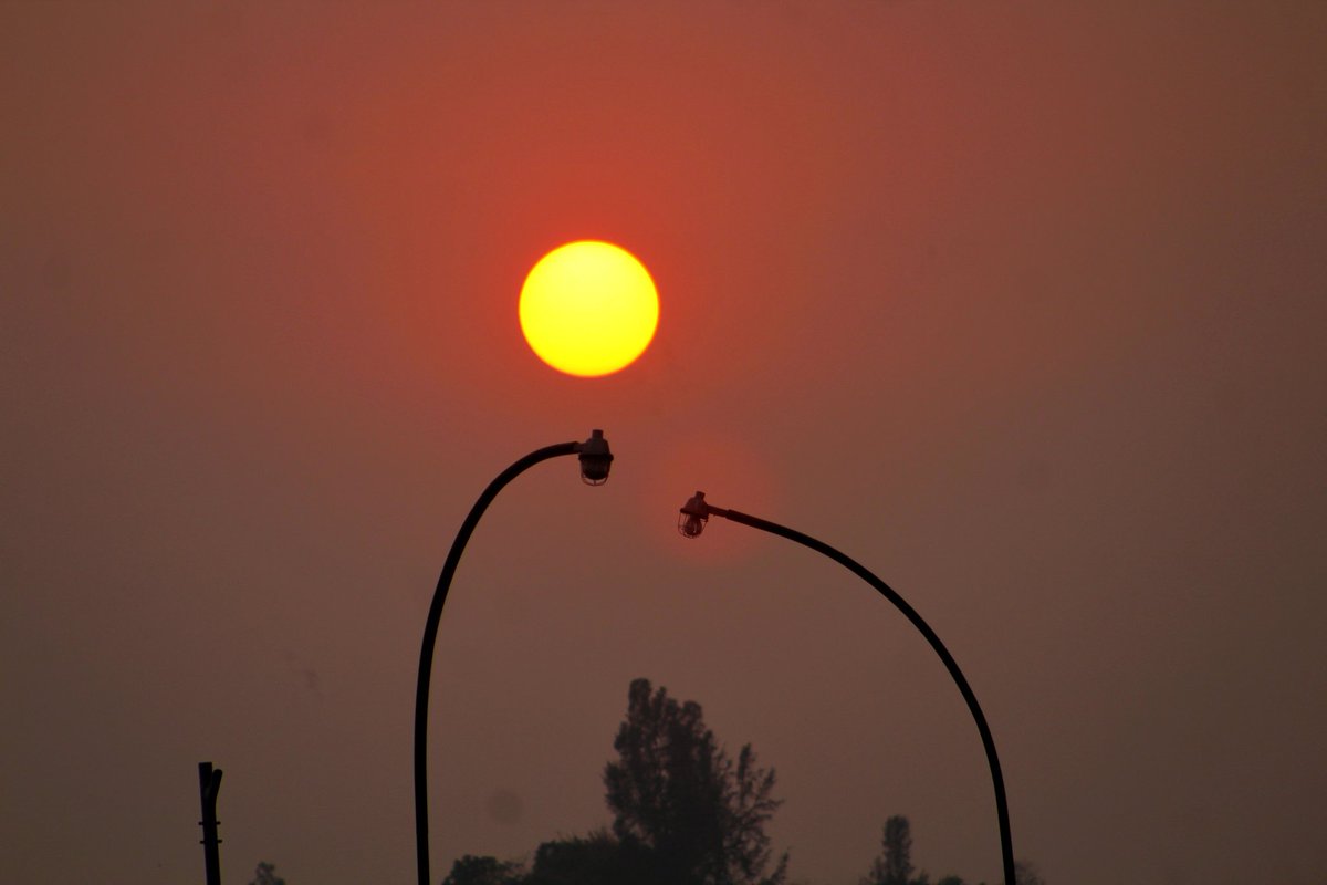 Bappyphotograph's tweet photo. Today's evening sunset view.
#documentaryphotography
#bappyphotographer
#streetphotography
#eviningtime
#sunsetphotography
#tourmoments
#beautiful
Bappy Photographer https://t.co/WOog7o8hui