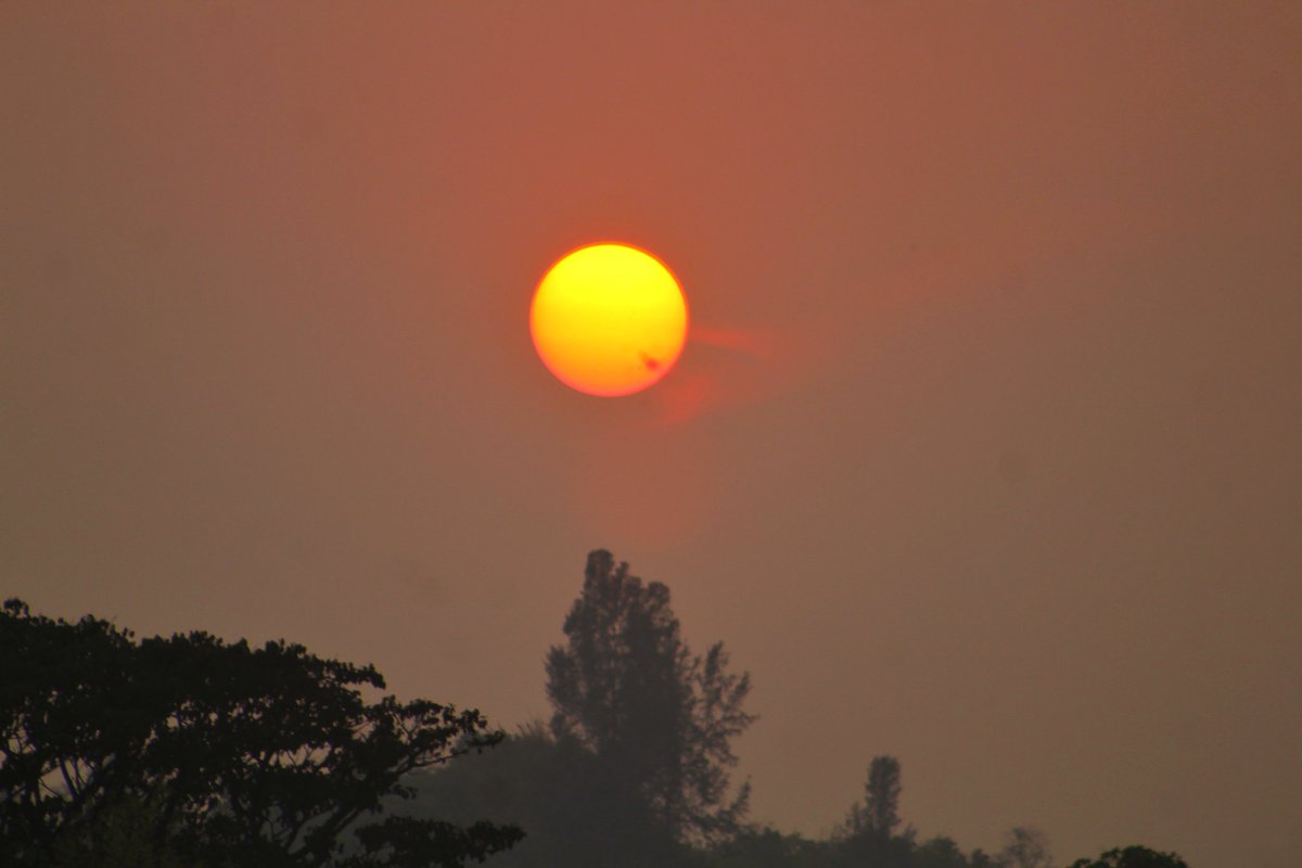 Bappyphotograph's tweet photo. Today's evening sunset view.
#documentaryphotography
#bappyphotographer
#streetphotography
#eviningtime
#sunsetphotography
#tourmoments
#beautiful
Bappy Photographer https://t.co/WOog7o8hui
