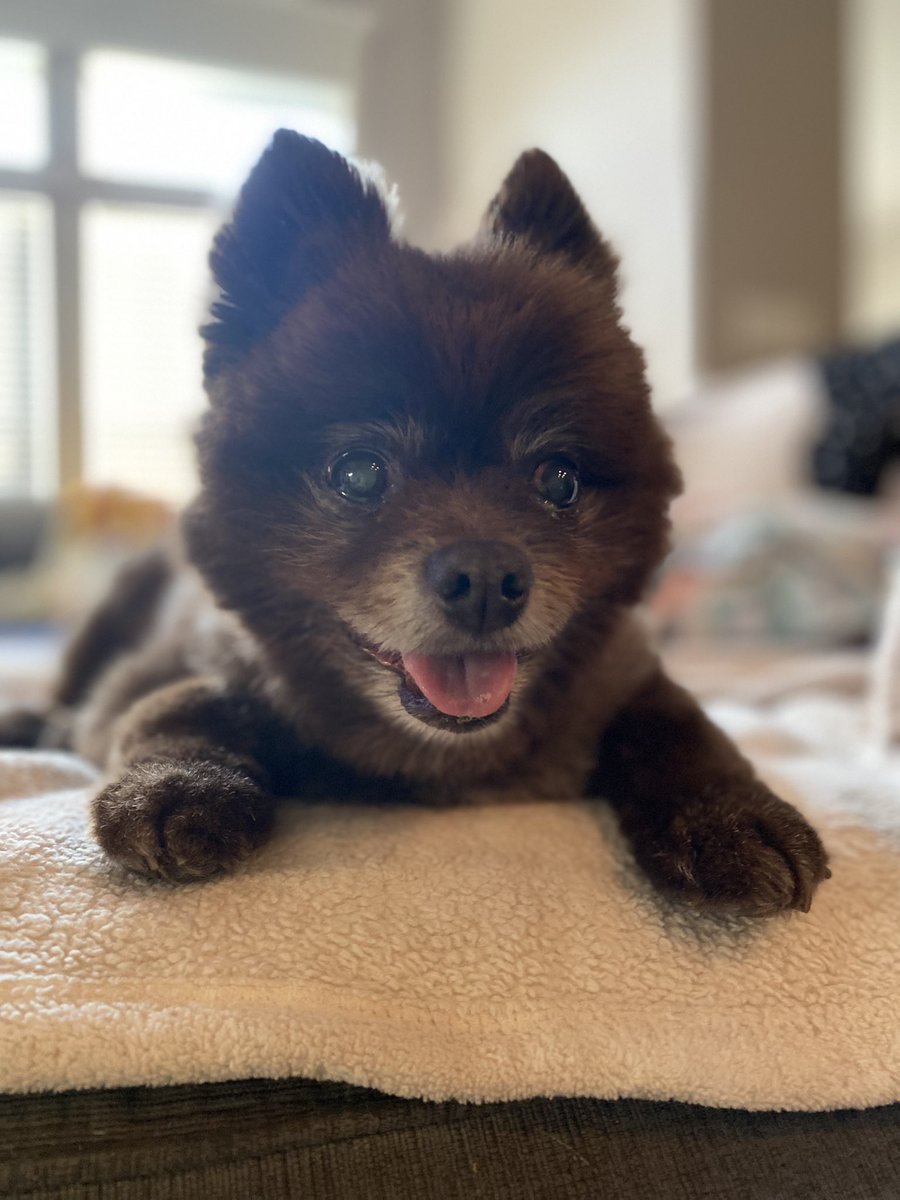 Dr. Melissa Quinn tweet media