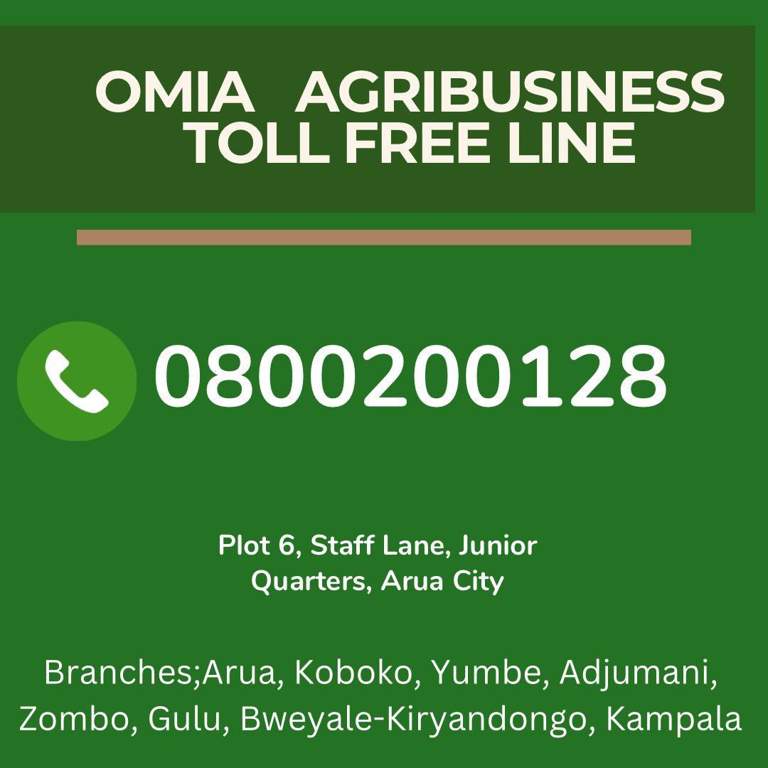 Real-time farmer support at no extra cost. At @OmiaLtd, we are committed to the success of all farmers

#farmersfirst