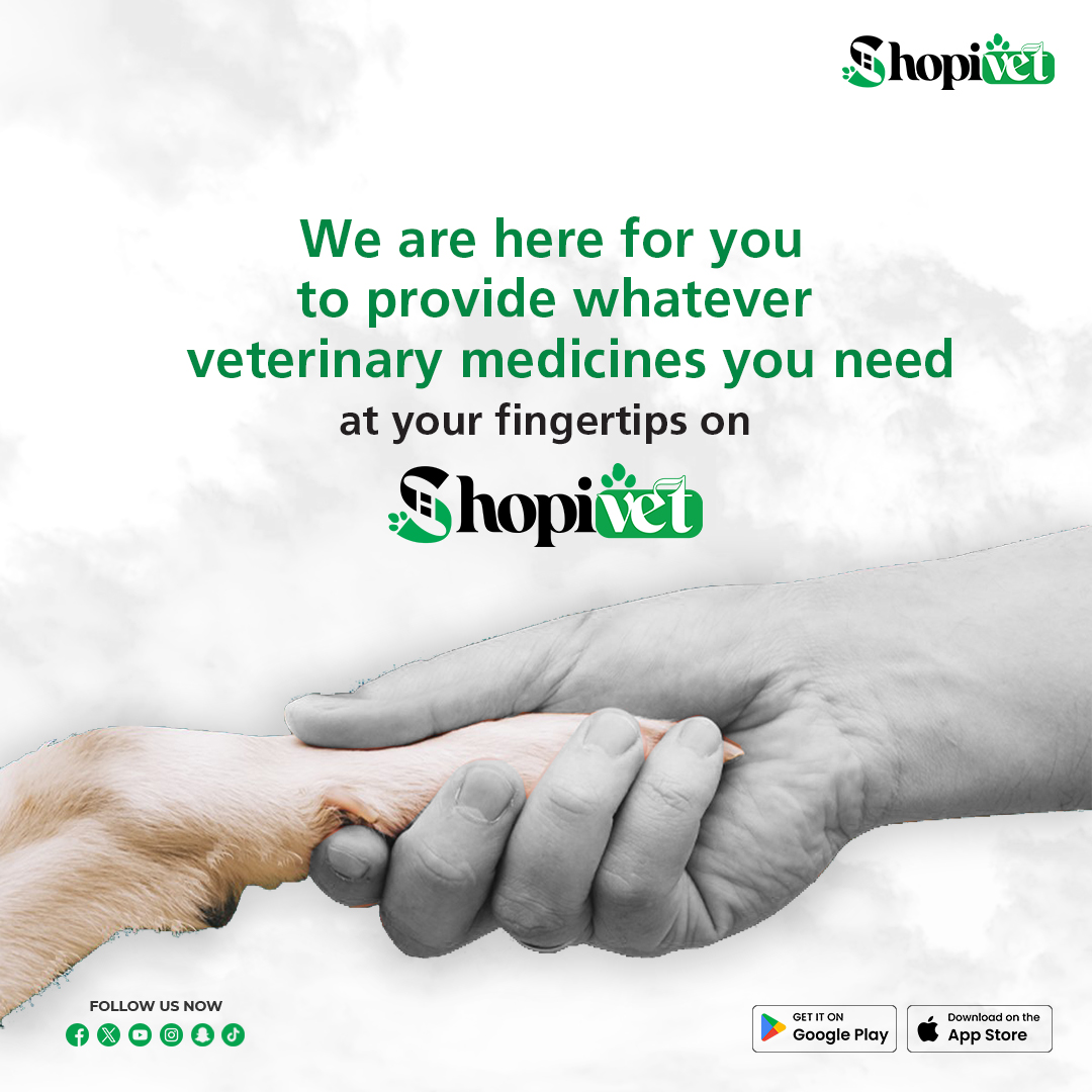 'We are here for you to provide all the veterinary medicines you need for your animals or farm.
Visit our store shopivet.com and choose what you need for your animals,
or contact us on WhatsApp if you have any inquiries.
+971502907064
#Shopivet #VeterinaryMedicines